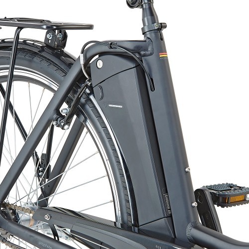 Электрический Prophete Geniesser 1.0 28" // N3 размер 19" (49 см) (серый)