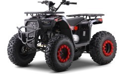 Kvadricikls ar benzīna dzinēju 200CC Monster, sarkans