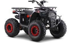 Квадроцикл бензиновый 200CC Monster, красный