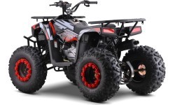 Квадроцикл бензиновый 200CC Monster, красный
