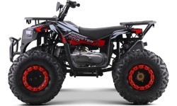 Quad Bike Petrol 200CC MONSTER Red