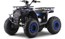 Квадроцикл бензиновый 200CC MONSTER, синий