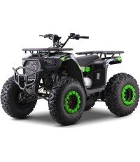 Квадроцикл бензиновый 200CC MONSTER зеленый