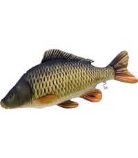 The Common Carp Pillow