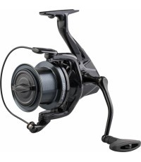 ZFISH Spoles prognoze XFR 9000