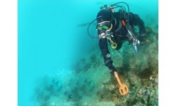 Zemūdens metāla detektors Quest Scuba Tector, oranžs, 2019 versija