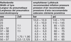 Камера Fischer 18" x 1,75 - 2,125" // клапан: DV