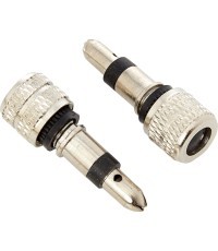 Fischer - Dunlop / DV Комплект клапанов (2 шт.)