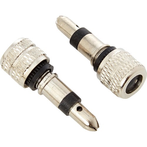 Fischer - Dunlop / DV Комплект клапанов (2 шт.)