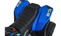 Quad Fast Wheel Blue