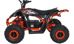 Quad Vehicle DESERT STORM LIFT Orange
