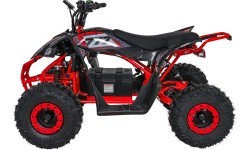 Quad Vehicle DESERT STORM LIFT Red