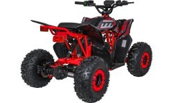 Quad Vehicle DESERT STORM LIFT Red