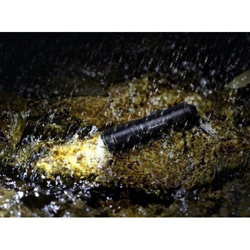 LED flashlight Fenix ​​E01 V2.0 black
