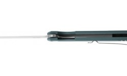 Folding Knife Ganzo Firebird FH11-GB 