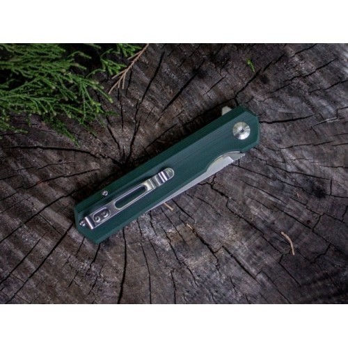 Folding Knife Ganzo Firebird FH11-GB 