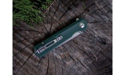 Folding Knife Ganzo Firebird FH11-GB 