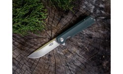 Folding Knife Ganzo Firebird FH11-GB 