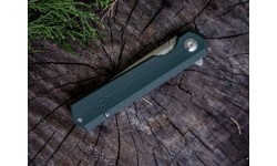 Folding Knife Ganzo Firebird FH11-GB 