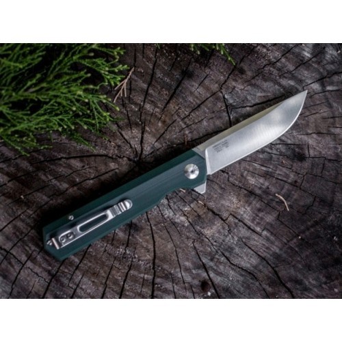 Folding Knife Ganzo Firebird FH11-GB 