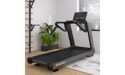 Treadmill inSPORTline Gardian G10