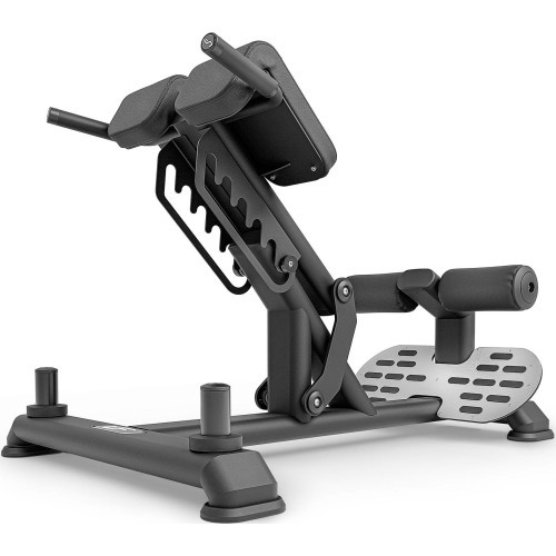 Back Muscle Training Bench UpForm UR-L008
