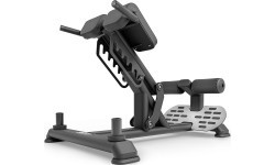 Back Muscle Training Bench UpForm UR-L008