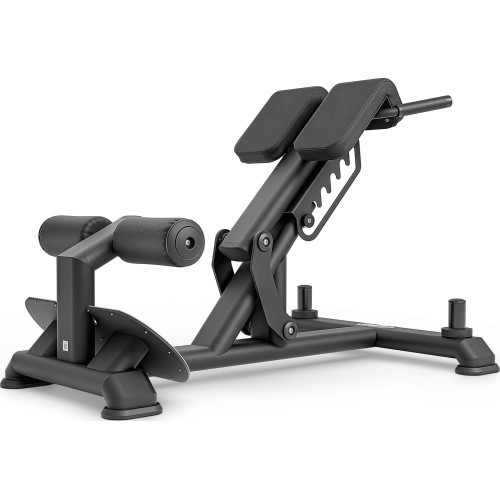 Muguras muskuļu treniņu sols UpForm UR-L008