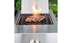 Gāzes grils Char-Broil Professional Pro S 2