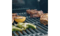 Gāzes grils Char-Broil Professional Pro S 2