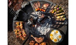 Modular cooking plate module for Remundi grill