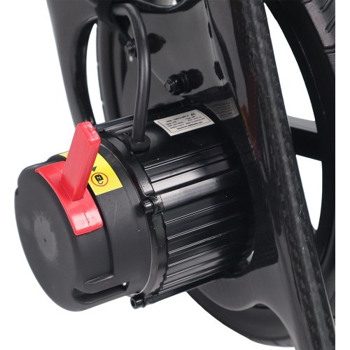 Carbon Electric Wheelchair inSPORTline Feally