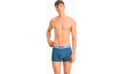 Мужское нижнее бельё Puma Placed Logo, синее, 906519 05