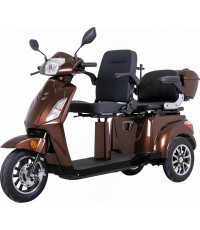 Двухместный трехколесный электрический самокат inSPORTline Zorica Duo - Brown