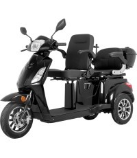 Двухместный трехколесный электрический самокат inSPORTline Zorica Duo - Black
