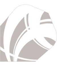 Дротики для дартса Shot Zen Satori Std. № 6 - 3 шт.