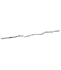 Crown 30 mm EZ-Curl bar