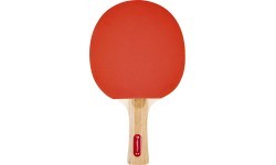 Galda tenisa rakete inSPORTline Shootfair S2