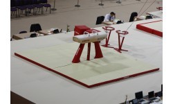 SET OF LANDING MATS FOR COMPETITION POMMEL HORSE - 16 m² - FIG Approved