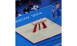 SET OF LANDING MATS FOR COMPETITION POMMEL HORSE - 16 m² - FIG Approved