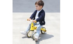 Toy Bike Ecotoys Giraffe