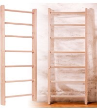 Zviedru vingrošanas siena inSPORTline Steadyline 215x90cm