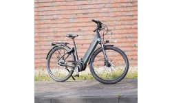 Электросамокат Prophete Geniesser 4.0 28" // N7 размер 19" (48 см) (серый/голубой)