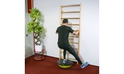 Zviedru vingrošanas siena inSPORTline Steadyline 240x90cm