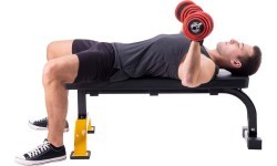 L8012 EXERCISE BENCH HMS PREMIUM