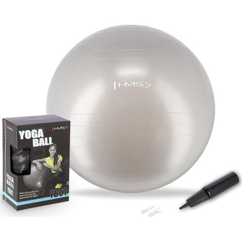 YB01 NEW 65CM GRAY GYM BALL HMS