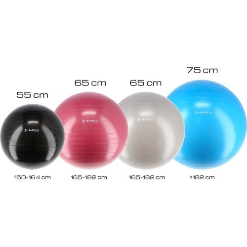 YB01 NEW 55CM BLACK GYM BALL HMS