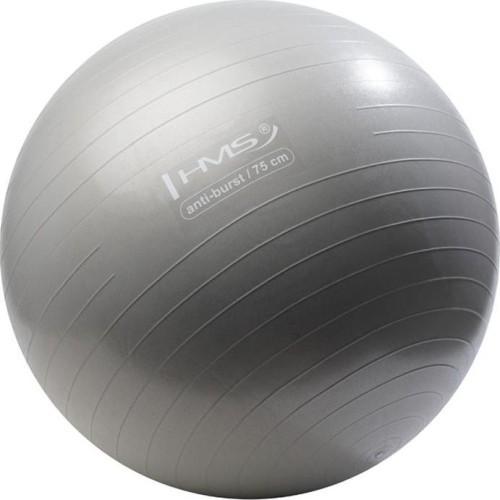 YB02 NEW 75CM GRAY GYM BALL HMS