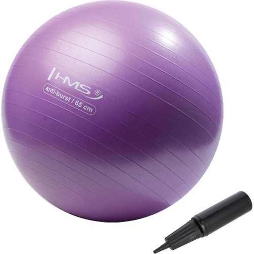 YB02 NEW 65CM PURPLE GYM BALL HMS
