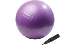 YB02 NEW 65CM PURPLE GYM BALL HMS